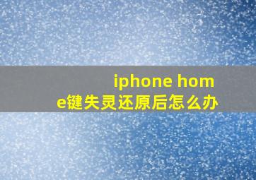 iphone home键失灵还原后怎么办